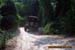 CreekTrip6_20_03-024