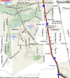RayfordSawdust.gif (32006 bytes)